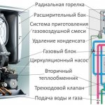 Структурата и принципът на работа на газовите котли